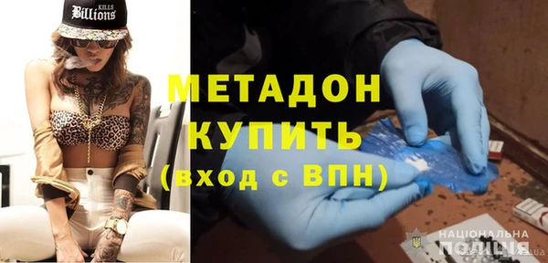 сатива Ельня
