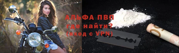 сатива Ельня