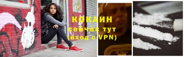 сатива Ельня