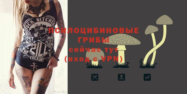 спиды Елабуга