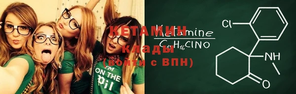 сатива Ельня