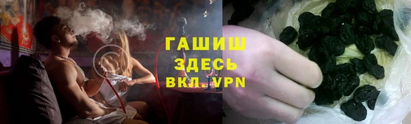 сатива Ельня