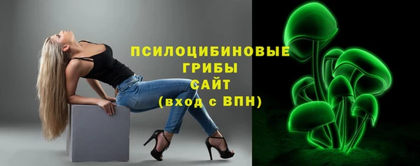 спиды Елабуга