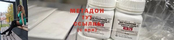 сатива Ельня