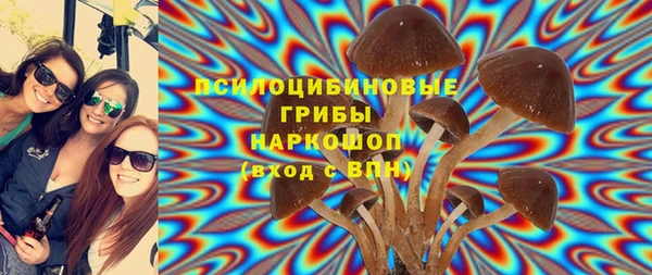 сатива Ельня