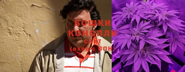 сатива Ельня