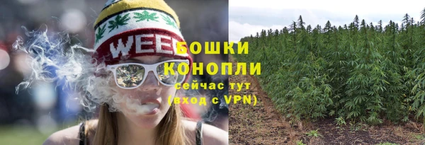 сатива Ельня