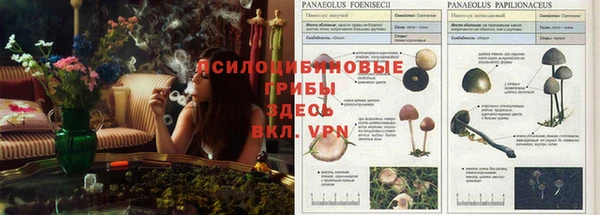 гидропоника Елизово
