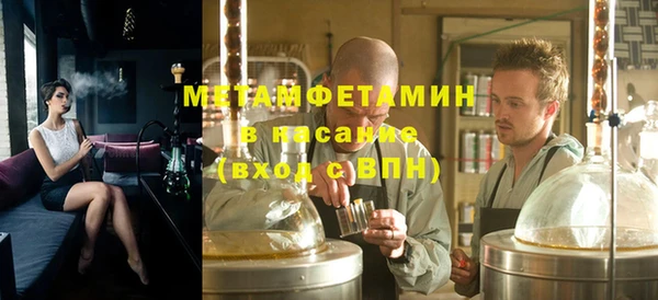 сатива Ельня