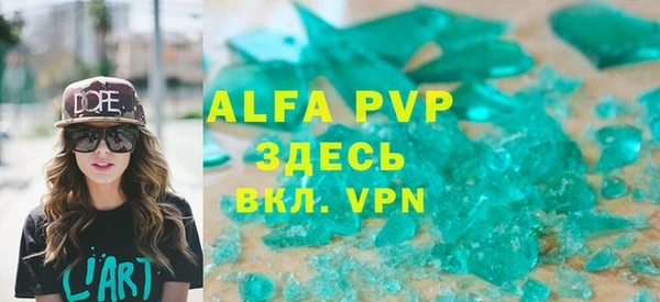 сатива Ельня