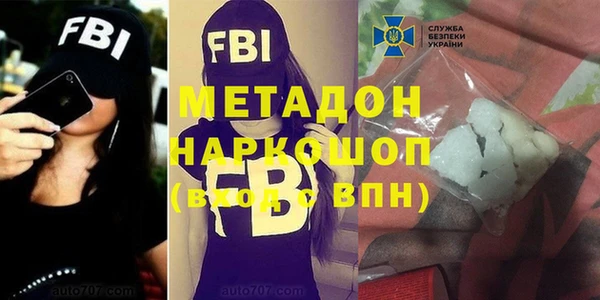 сатива Ельня