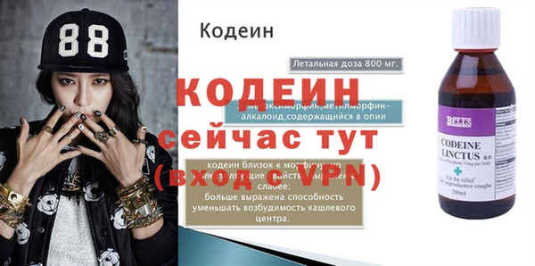 сатива Ельня