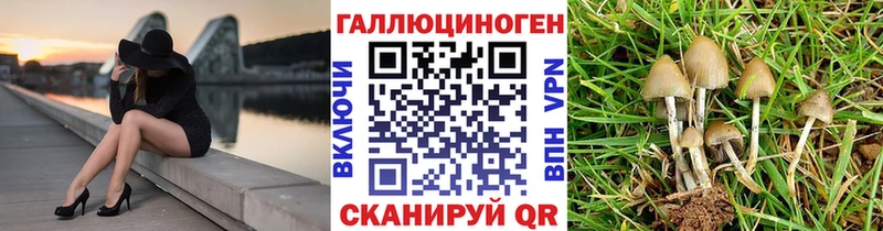 Купить  Кировград  Псилоцибиновые грибы MAGIC MUSHROOMS 